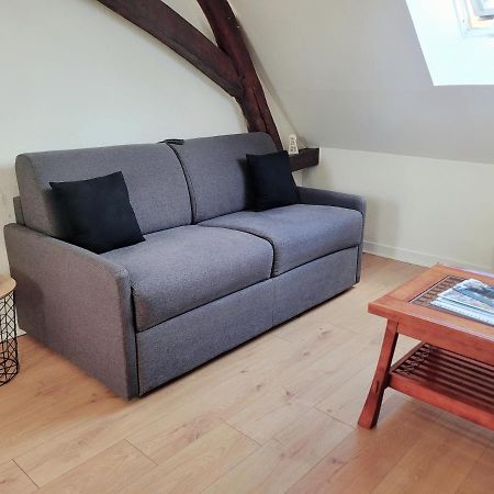 Appartement Au Centre Ville De Sens Buitenkant foto