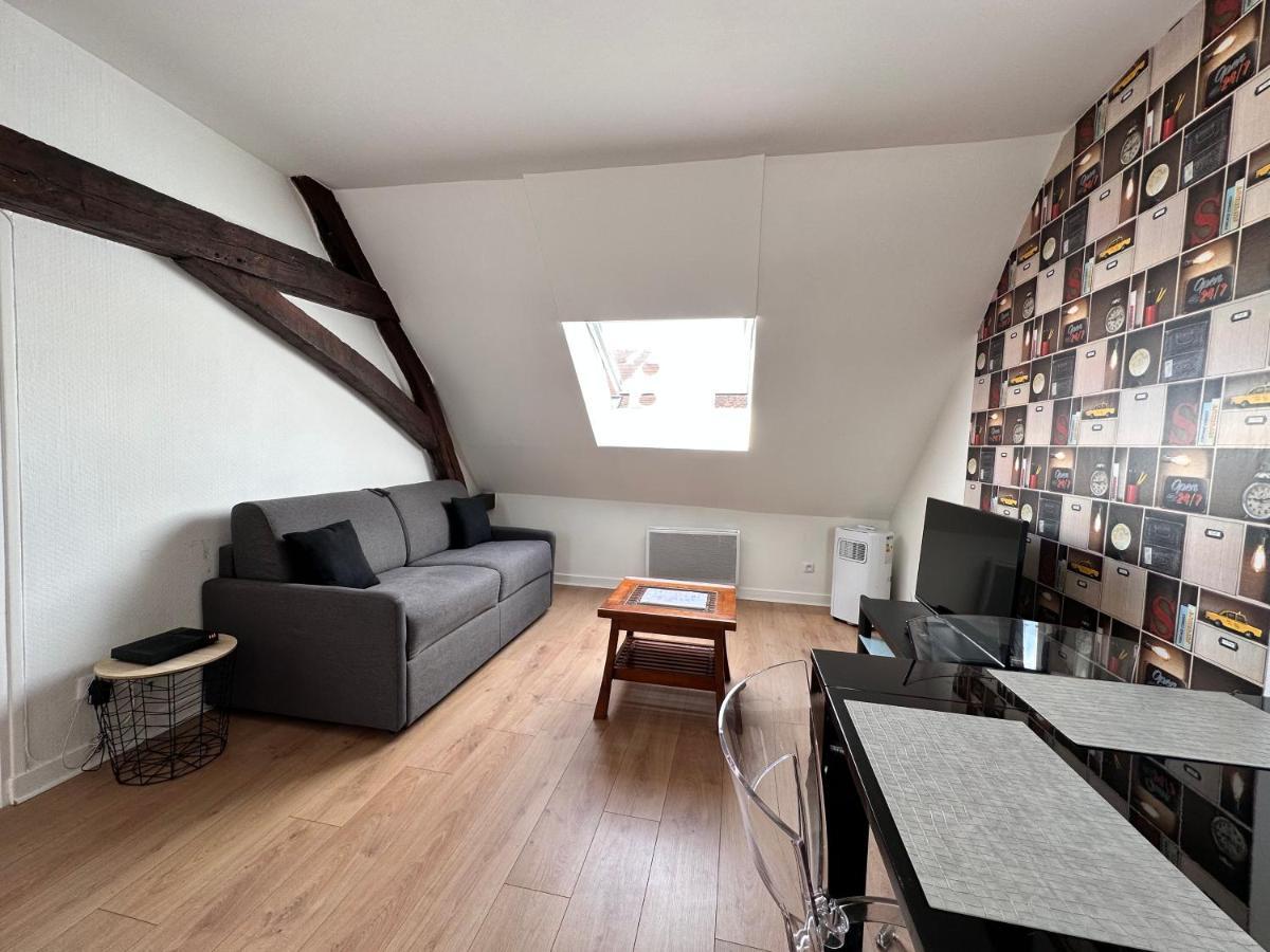 Appartement Au Centre Ville De Sens Buitenkant foto