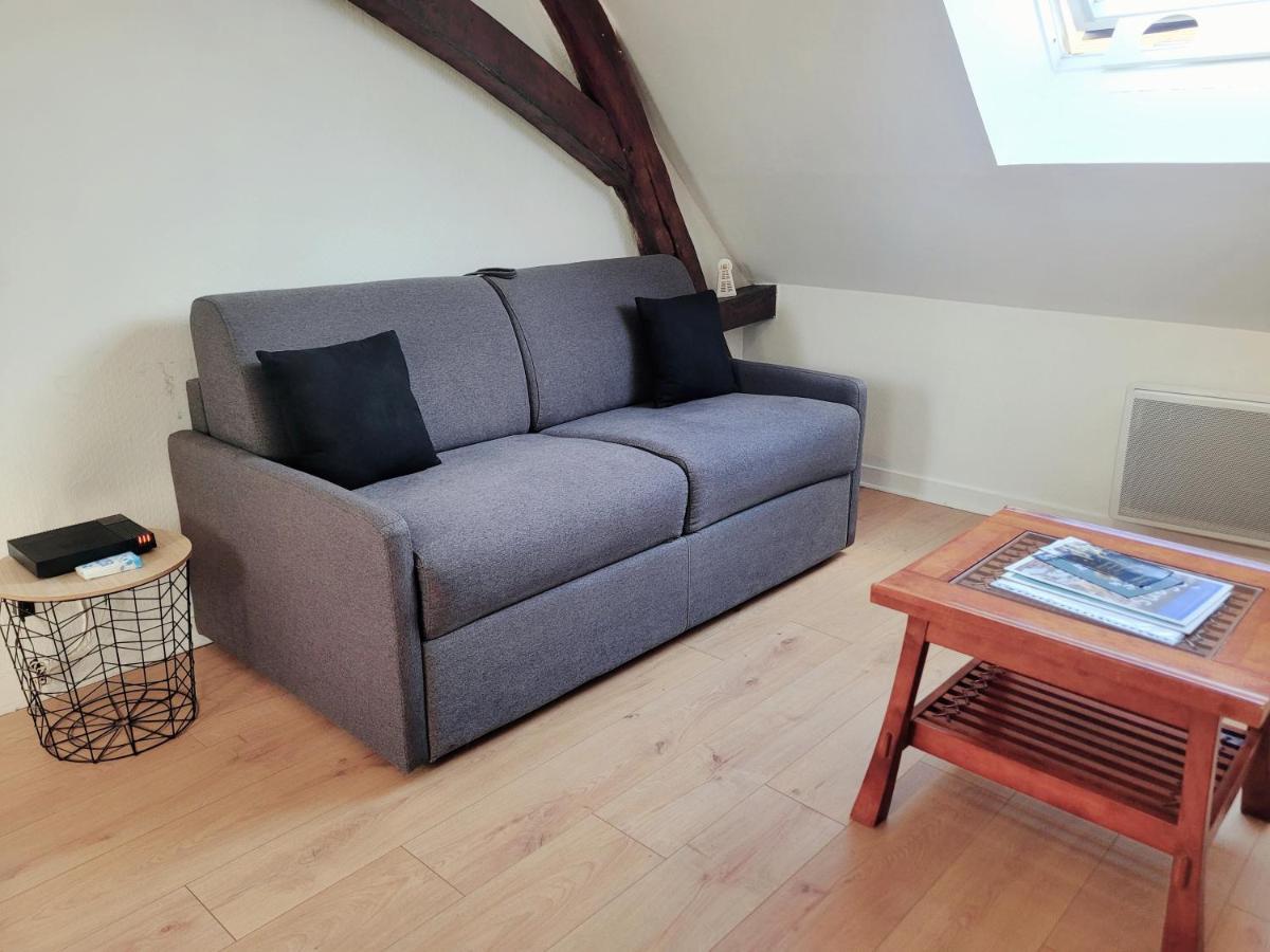 Appartement Au Centre Ville De Sens Buitenkant foto